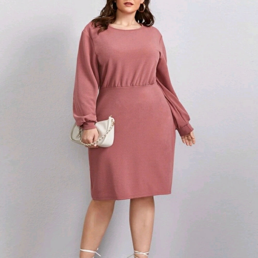 NEW Plus Fitted Dress